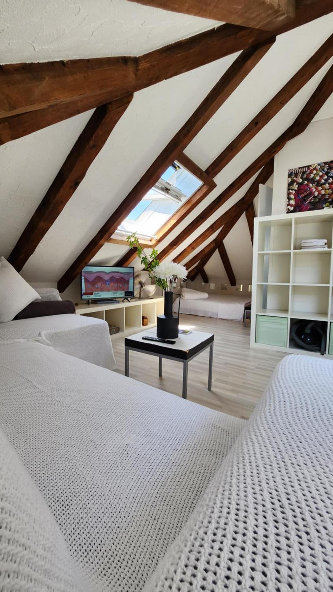 Trend Area Attic Seefeld Zürich Buitenkant foto
